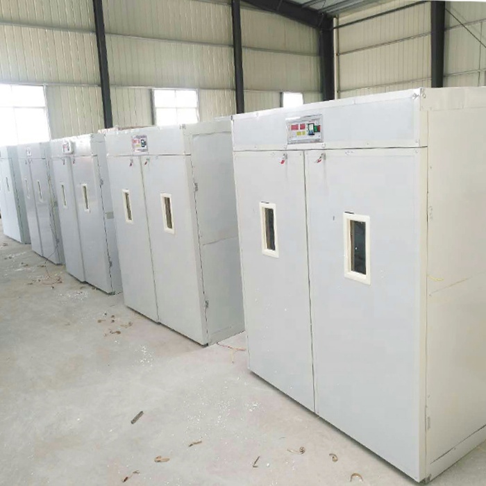 Cheap HB Poultry Egg Incubator - Image 3