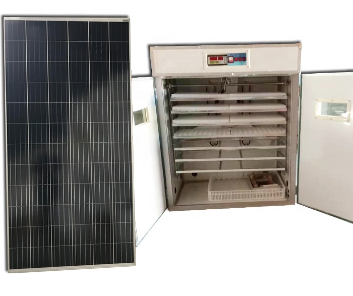 Cheap HB Poultry Egg Incubator - Image 2